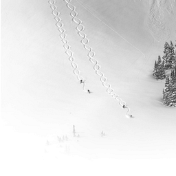 Alta Capital Management, LLC