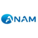 Anam Electronics Co Stock