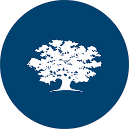 Ashoka Investment Holdings, Ltd.