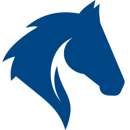 Auriga Partners