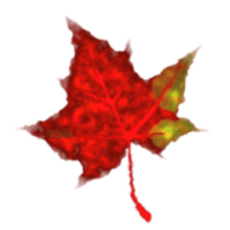 Autumn Glory Partners, LLC