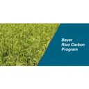 Bayer Cropscience Action