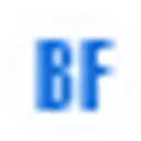 BF Holding GmbH