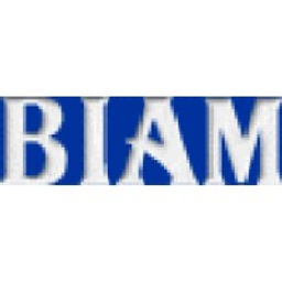 BIAM Holdings