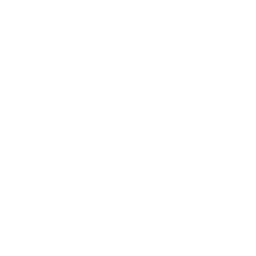 Big River Industries Aktie