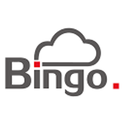 Bingo Software Co Action