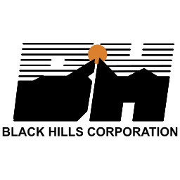 Black Hills Action