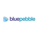 Blue Pebble Action