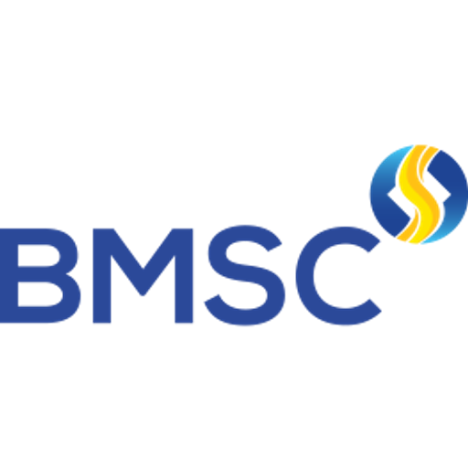 Bao Minh Securities