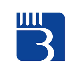 Bolton Partners Ltd.