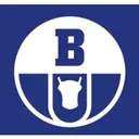 Boryszew Action