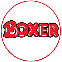 Boxer Retail Stock