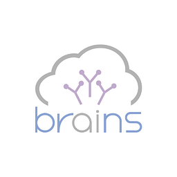 Brains Technology Action