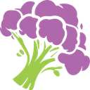 BROCCOLI Stock