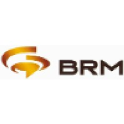Bumi Resources Minerals Tbk PT