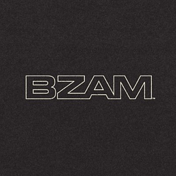 BZAM Holdings, Inc.