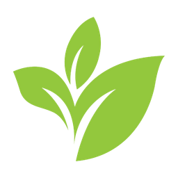 Cannara Biotech Action