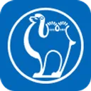 Camel Group Co Action