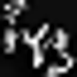 Chin Chun Investment Company Ltd