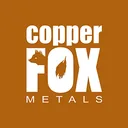 Copper Fox Metals Action
