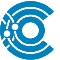 Covalent Partners LLC