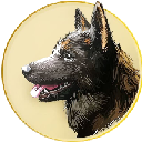 Shibaken Finance Aktsia