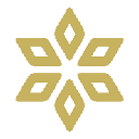 Spores Network Action