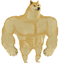 Swole Doge Aktie