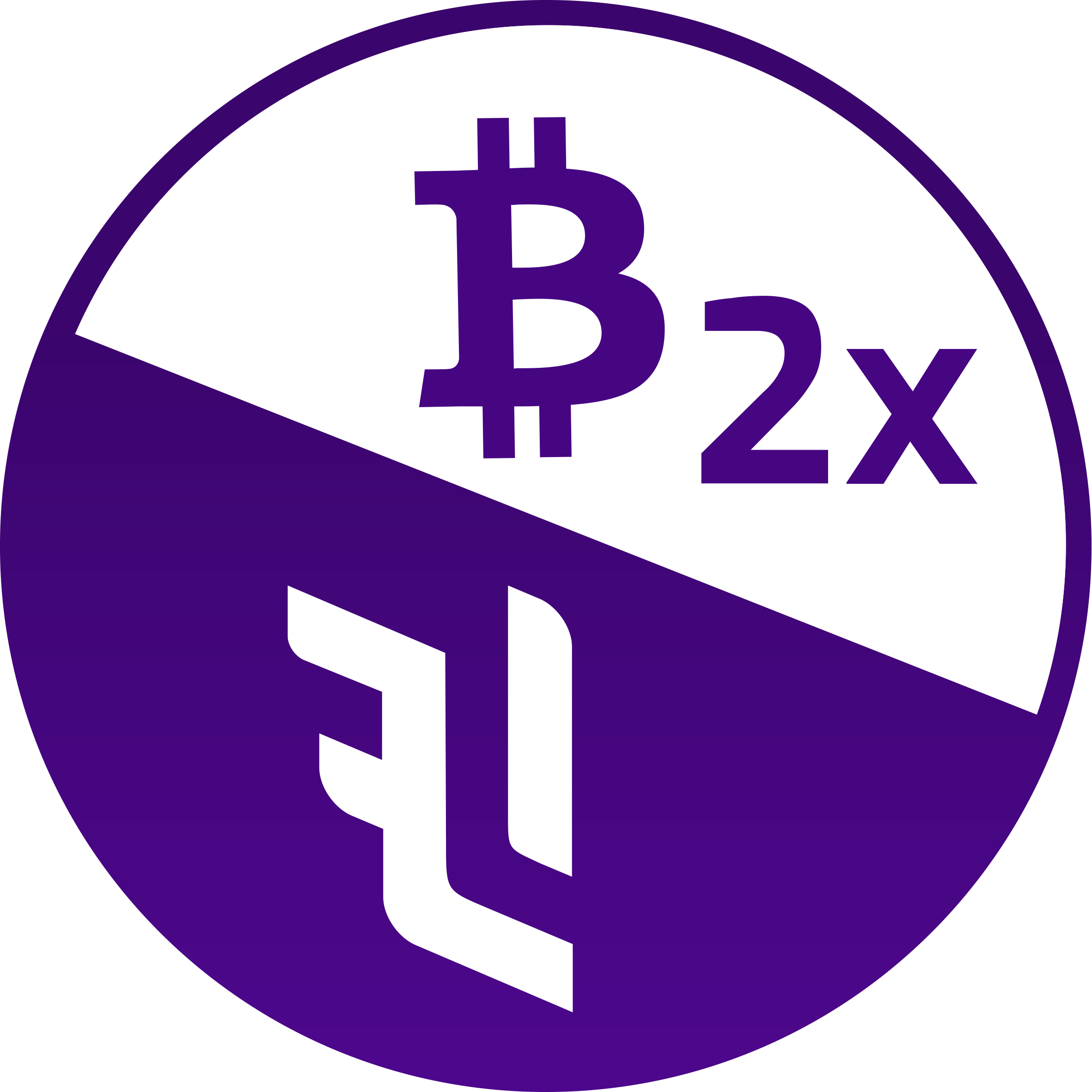 BTC 2x Flexible Leverage Index Stock