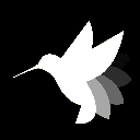 Hummingbot Governance Token Ação