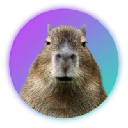 Capybara Akcija