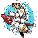 Doge-1 Mission to the moon Acțiune
