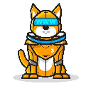 Web3 Doge Aktie