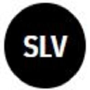 iShares Silver Trust (Defichain) Stock