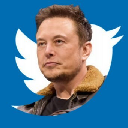 ELON BUYS TWITTER Stock