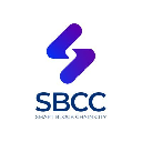 Smart Block Chain City Stock