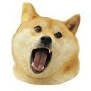 Doge Eat Doge Aktie