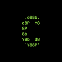 Wrapped CANTO Akcija