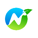 NetZero Stock