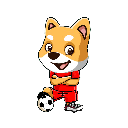 SoccerInu Stock