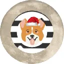 Doglaikacoin Aktsia