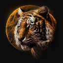 TigerMoon Stock