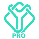 YOEX PRO Stock