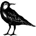 Tidalflats Aktie