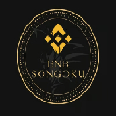 BNBsongoku Stock