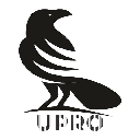 ULTRAPRO Aktie