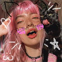 Pussy In Bio Stock