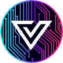 ViZion Protocol Stock