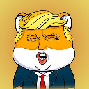 Trump Shiba Stock
