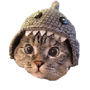 Shark Cat Aandeel